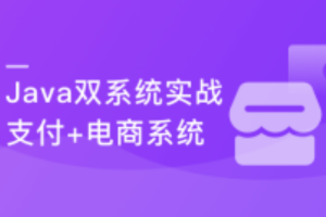 实战支付+电商双系统 玩“赚” Java技术栈（完结）