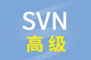 尚硅谷SVN高级视频