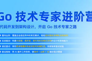 Go技术专家进阶营 从代码开发到架构设计,开启Go技术专家之路(完结)